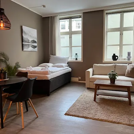 Apartment Vaskerelven 4 *